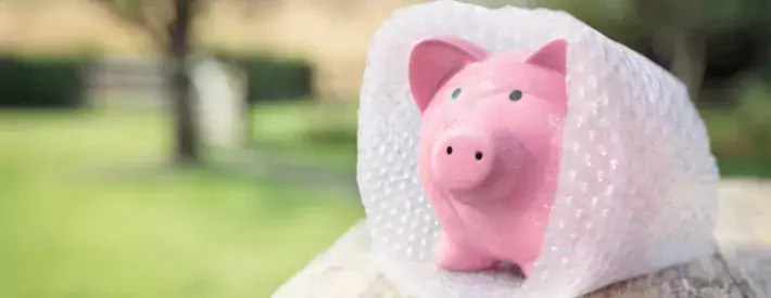 pink ceramic pig
