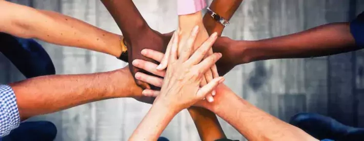 IMI Membership Values